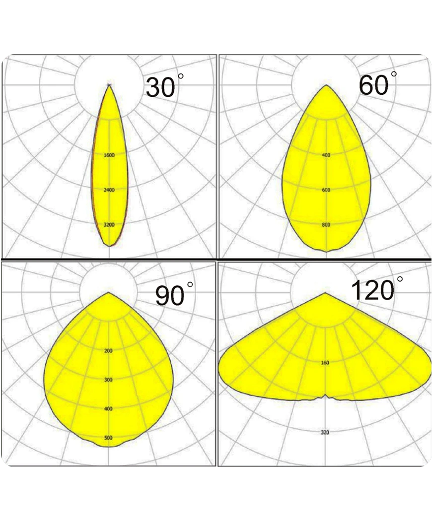 HB 100 image 5