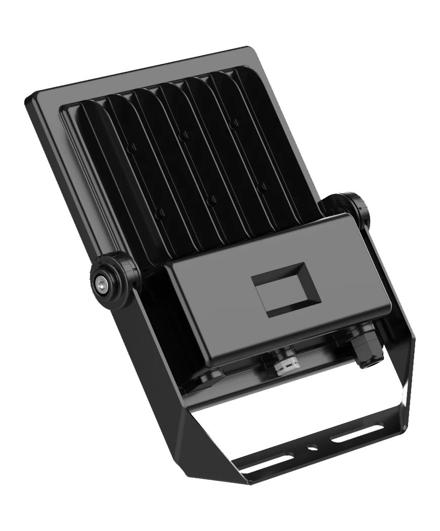 SOFT M2 image 4